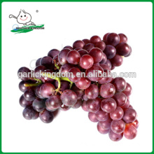 Sell Red grapes/Grapes/Fresh grapes from China